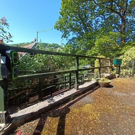 Treetop Cottage At Countisbury Lodge 린머스 외부 사진