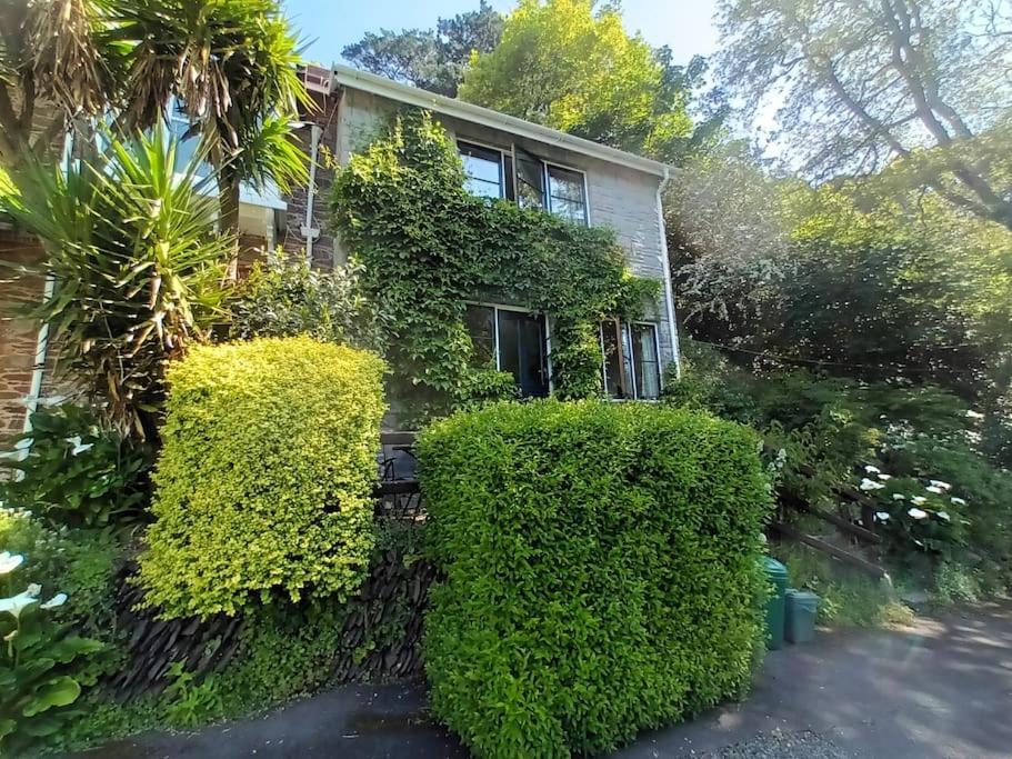 Treetop Cottage At Countisbury Lodge 린머스 외부 사진